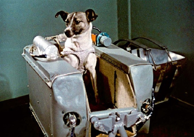 60 años del viaje al espacio de la perrita Laika a bordo del Sputnik II
