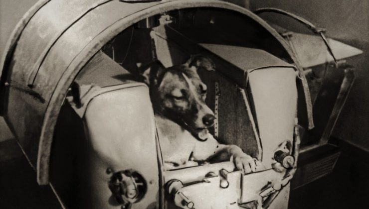 Sputnik 2 con Laika a bordo